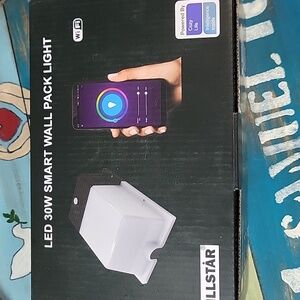 LED 30W Smart Wall Pack Light